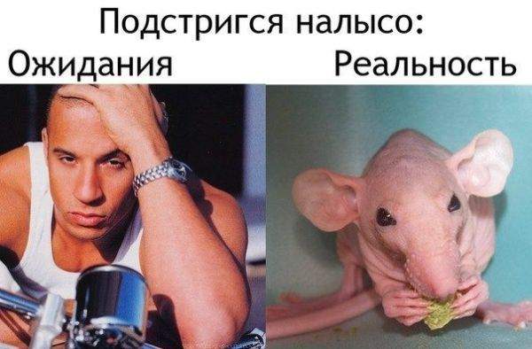 Суровая правда жизни