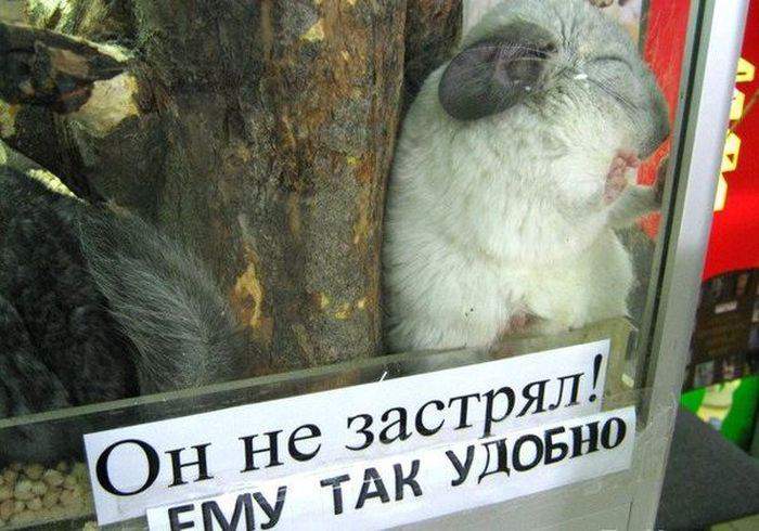 он не застрял! он - засох!