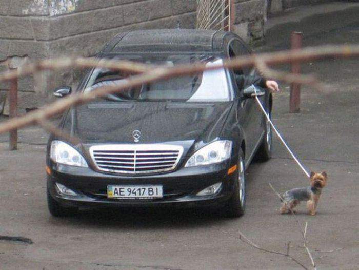 Навигатор