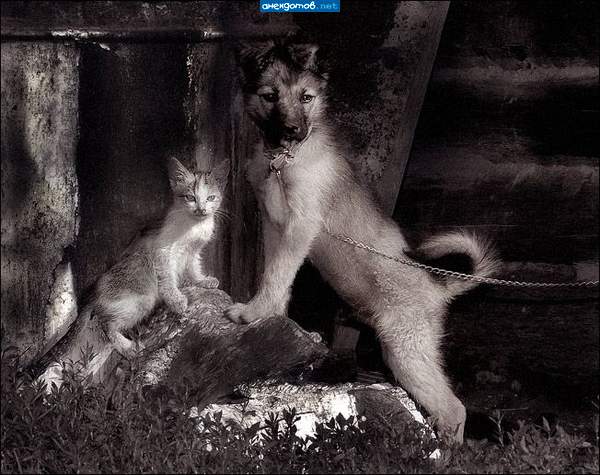 Кореша чумазые)))))))))))))))