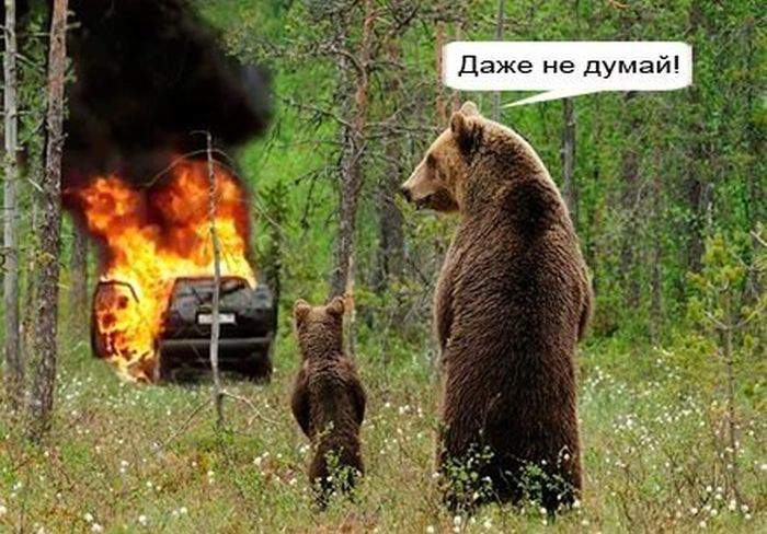 опять шашлик?!