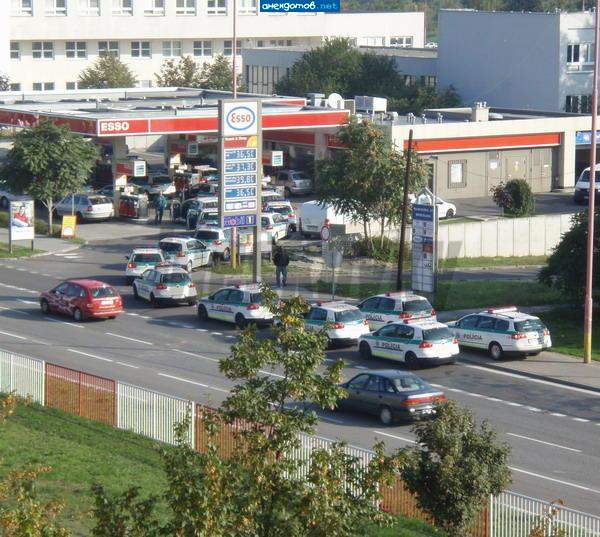 Вымотались после погони