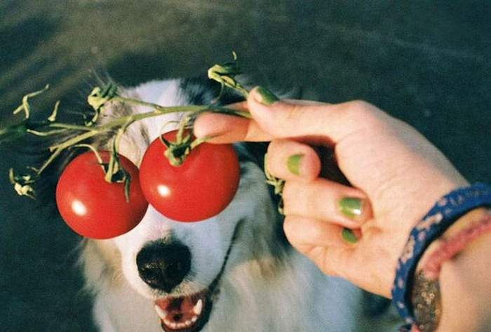 фуууу! зеленые ногти!