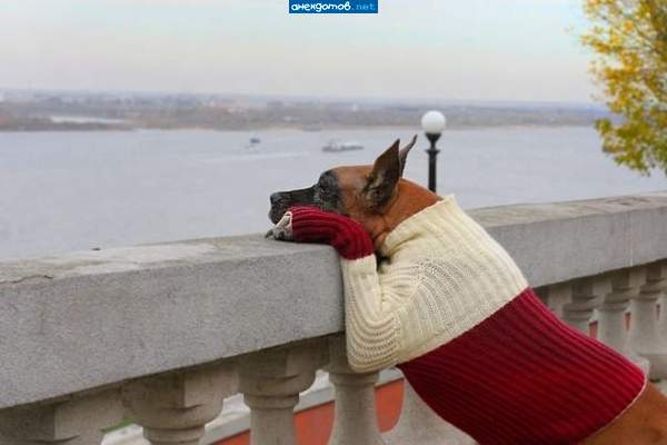 унылая пора... и холодно с утра...