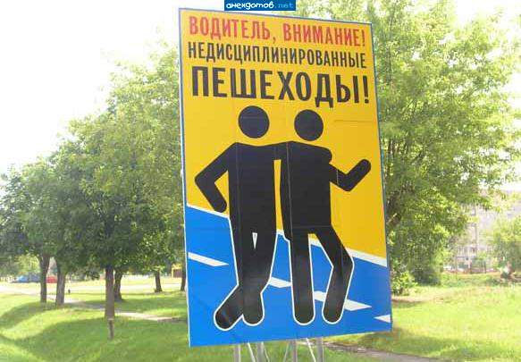 Синяки на дороге
