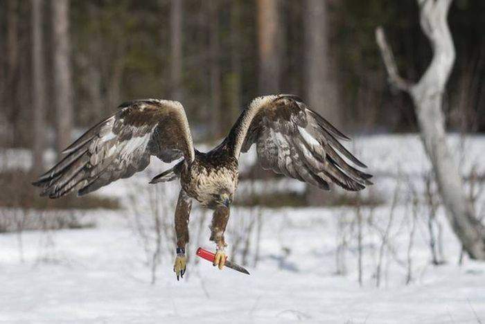 заЕц, стой! ЗарЭжЮ!!!