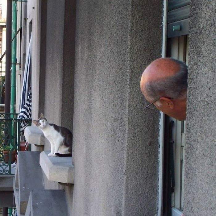 Хозяин!? А что ты делаешь у соседки?