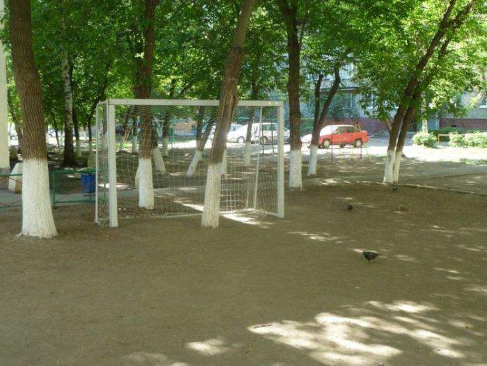 И еще 10 таких же бегает по полю