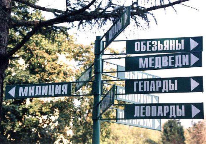 А где депутаты