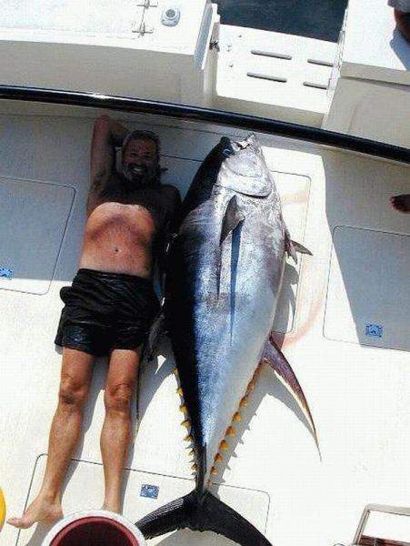 Ихтиандр со своей бабой на яхте