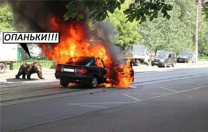 от миши тень не в ту сторону