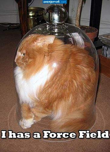 эталон котэ