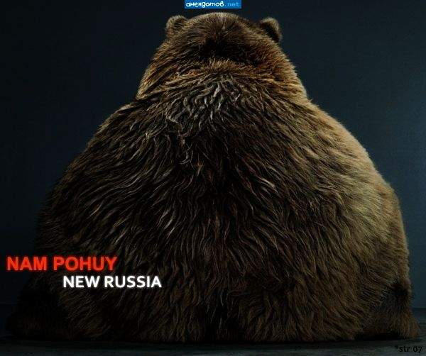 на следующий день после выборов