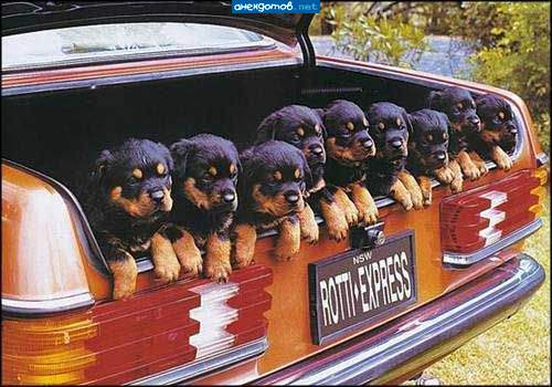 оптом дешевле