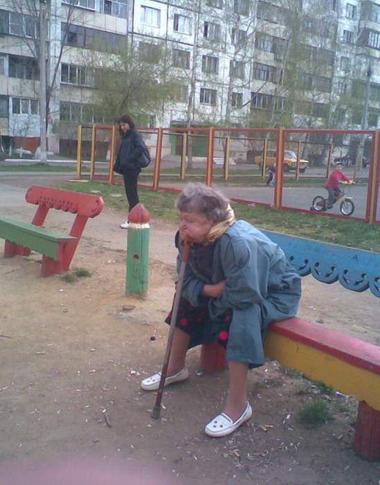 Вишь посматривает спю ли я. Последнюю палку стырить хочет!