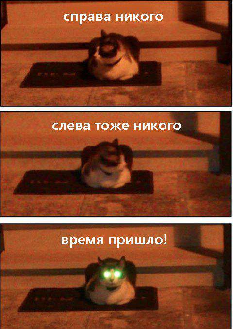 Проверка сигналов, правый поворотник, левый, дальний