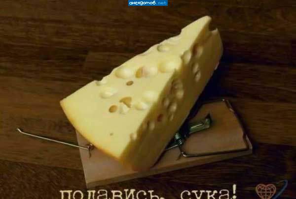 Мышеловка на Рублёвке.