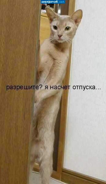 Тока в марте! И тока на крышу!