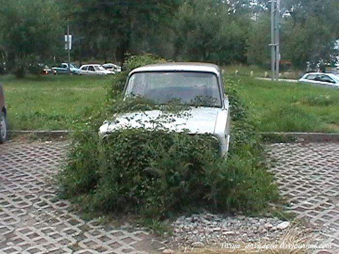 она ждет парня из армии