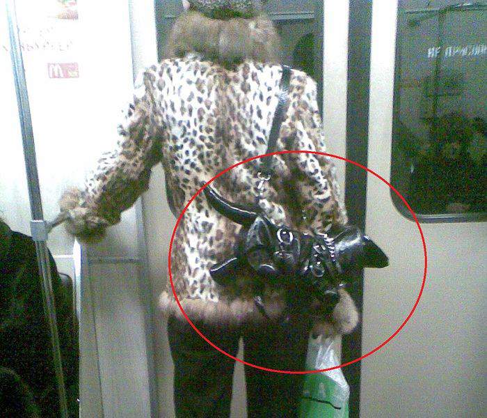Корейская сумка с завтраком.