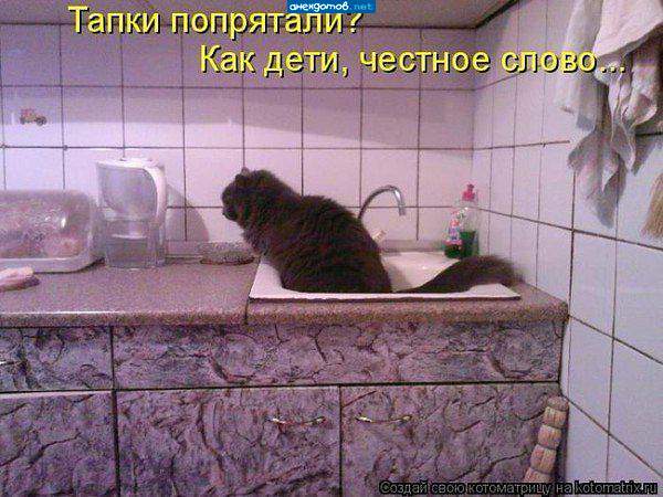 Если чёрный кот утром насрал в раковину-это плохая примета.Если белый-хорошая