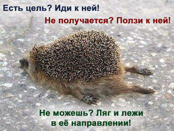 Целеустремлённость
