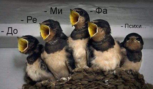 Хор Пятницкого ))