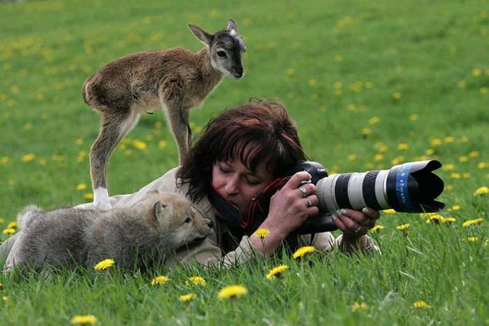 покажи, что там фоткаешь