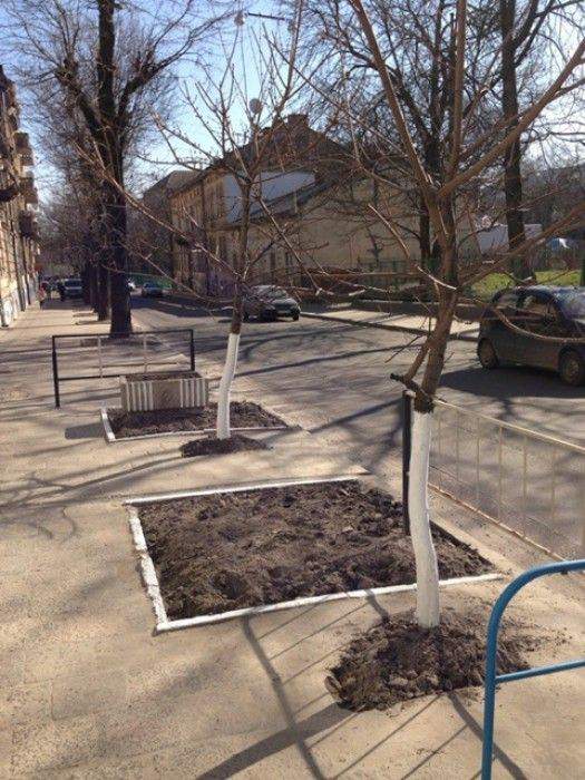 Нормально все - одни пректировали дорожки - другие озеленение - третьи исполнили согласно проекта