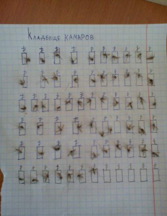 Комаров! Когда ты уже свою фамилию писать правильно научишься...