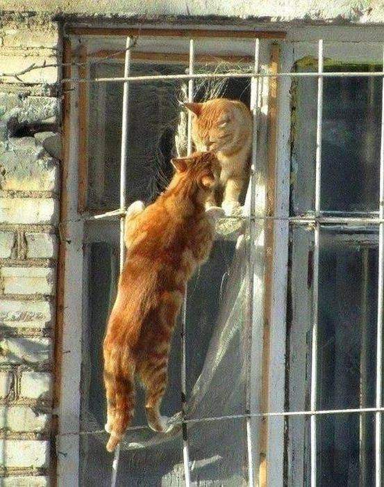 Ромео