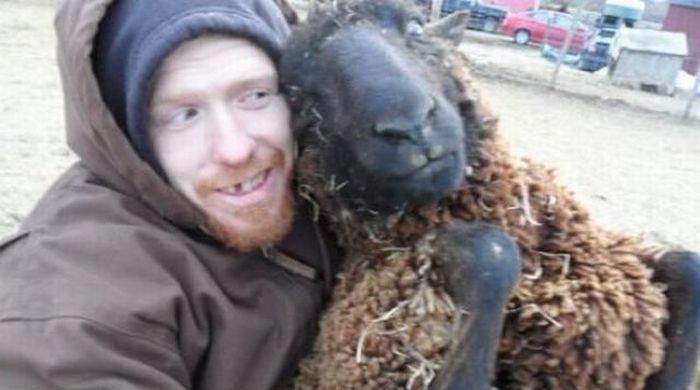 Настоящий шотландский sheepshagger