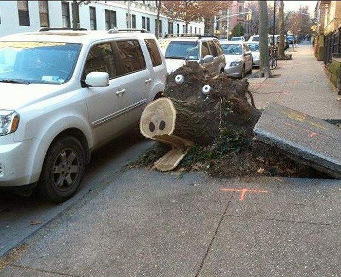 КТО здесь??