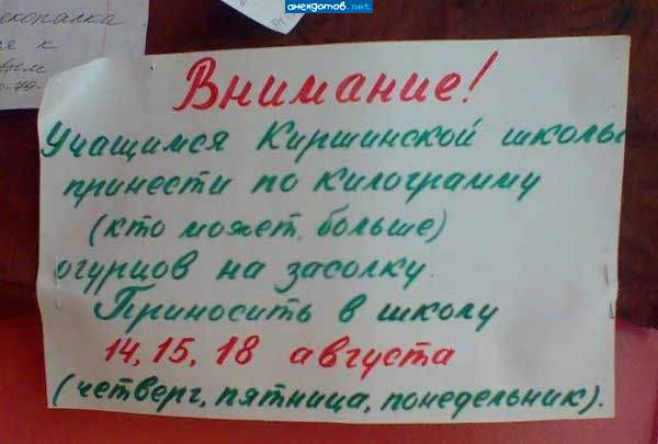 Подпись - Страдаю, ваш директор