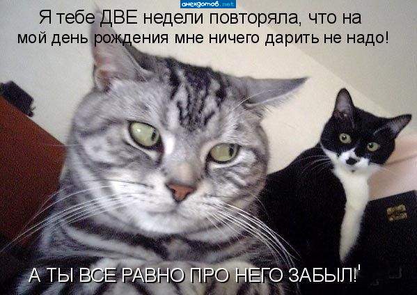 Вот она, женская логика)