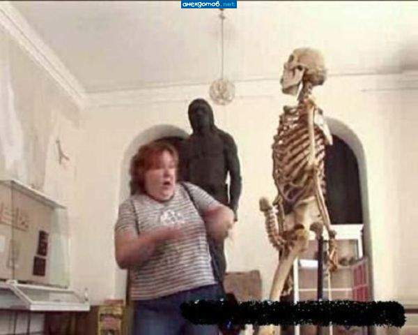 членопитек