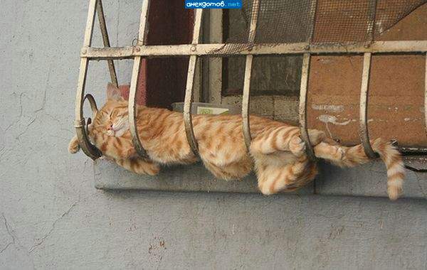 По приютам я с детства скитался, не имея родного угла...