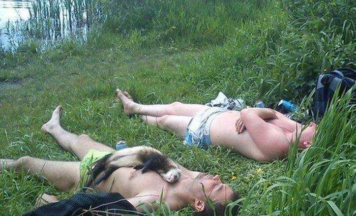 На вас, алкашей, никаких белок не напасешься!