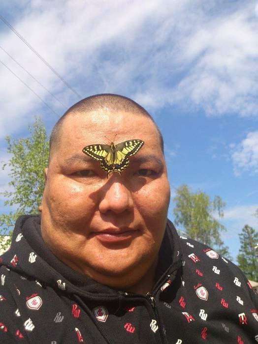 Ббабочку нннада?
