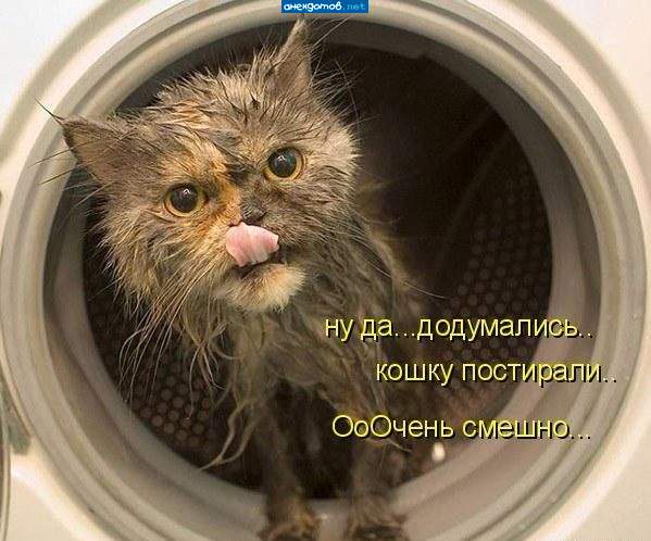 Теперь я шутить буду. Когтями на жопе веселые картинки рисовать!