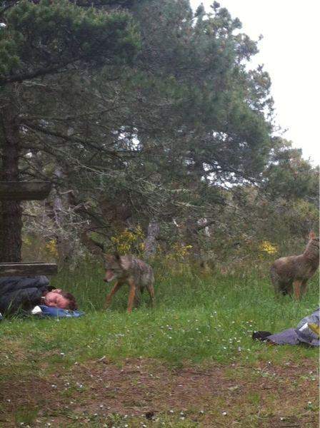 Не пойму по запаху, это выпивка лежит или закуска?