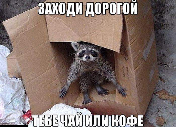 Таким оказался обещанный туроператором пятизвездочный отель....