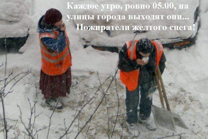 Платили бы вам столько же...жрали бы не только снег!