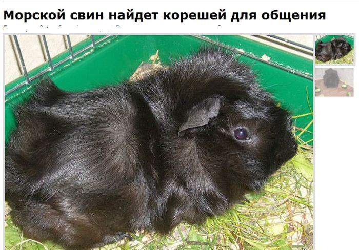 Хто это?