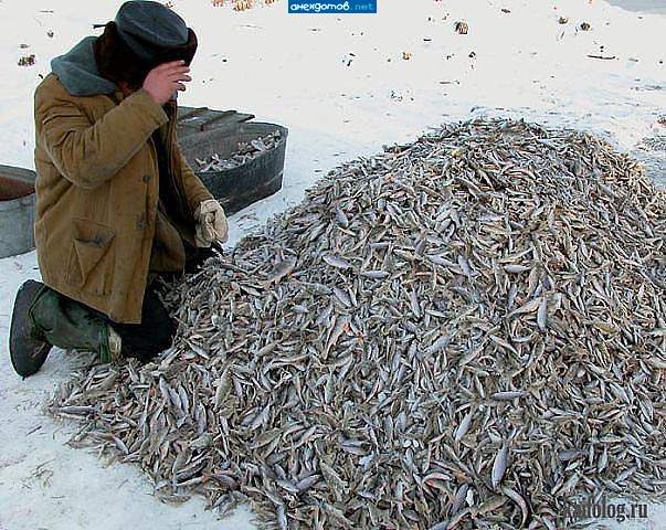 -Милый, я тебя прошу как нормального человека, на рыбалке - ПЕЙ ВОДКУ!!!