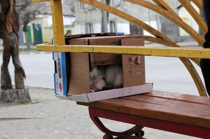 не смешно