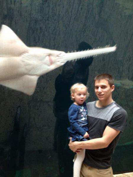 а это доча к нам бабушка приехала