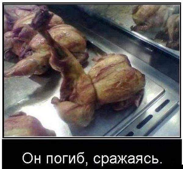 Ну еще бы, у него же черный пояс!