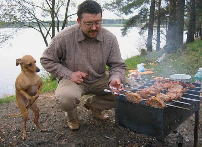 мусье, же не манж па сис жур..