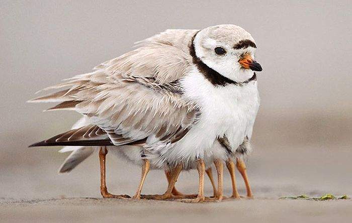 Мама всех согреет